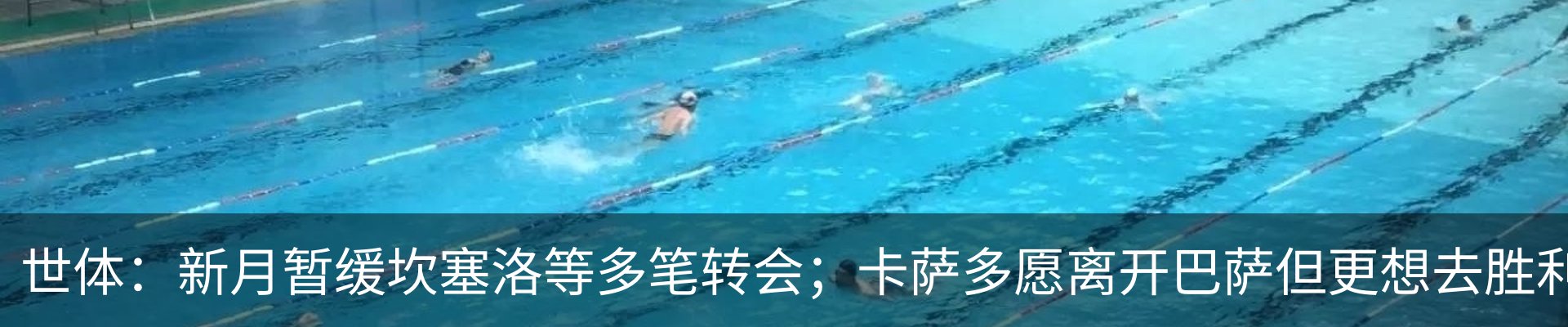 资讯动态