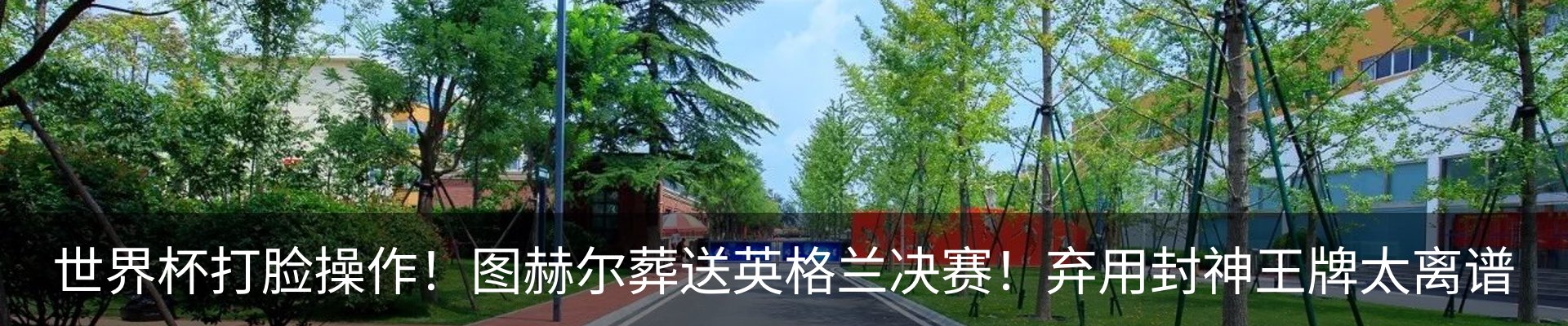 资讯动态
