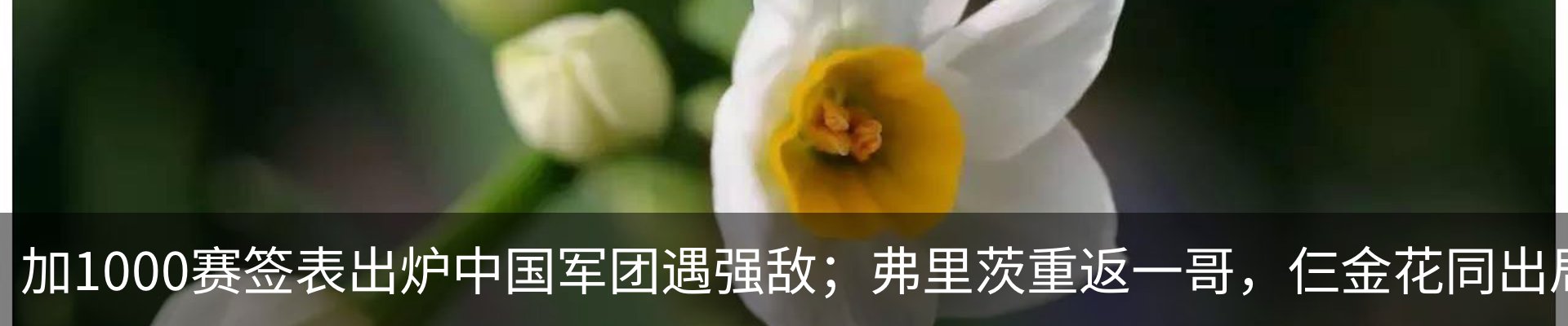 资讯动态