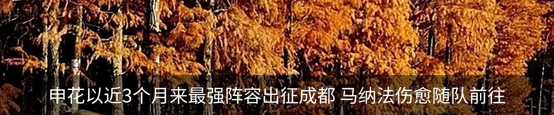 资讯动态