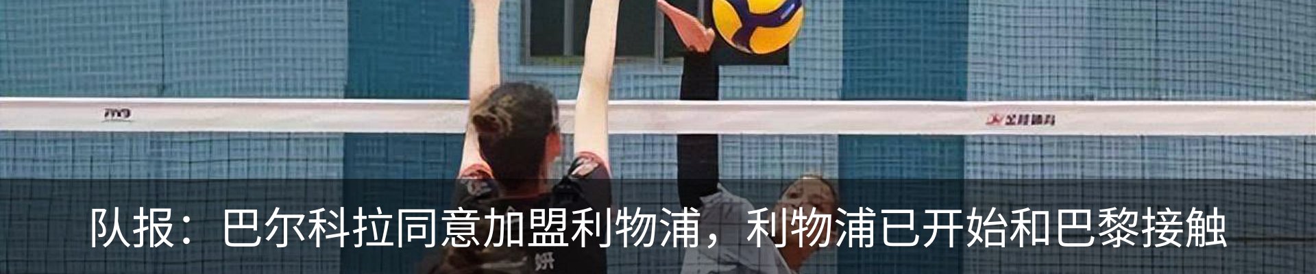 资讯动态